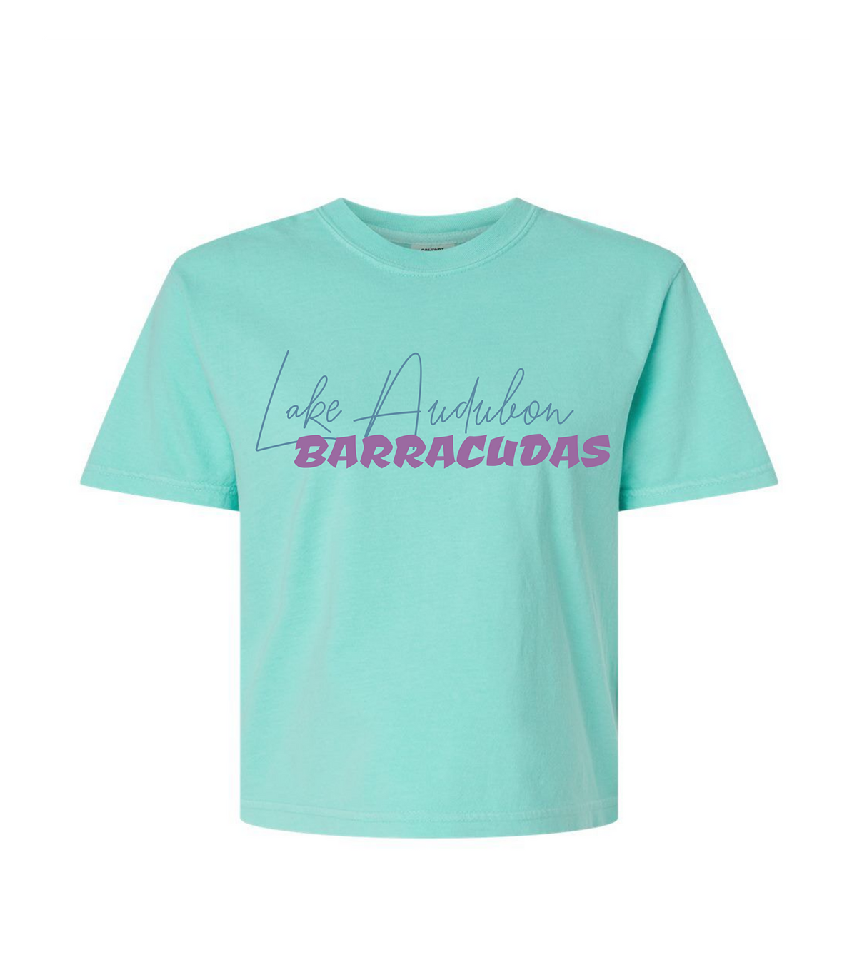 Barracudas Swim Mom Adult Comfort Colors® Boxy T-Shirt | Relaxed Vintage Swim Graphic Tee
