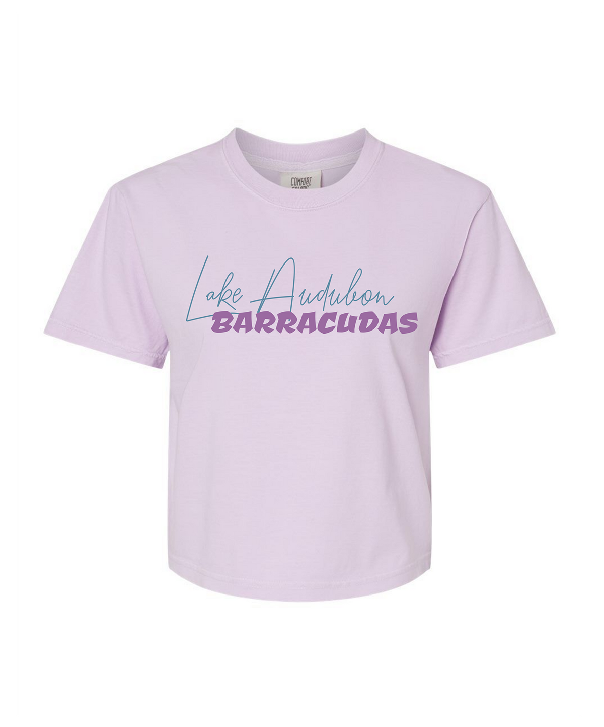 Barracudas Swim Mom Adult Comfort Colors® Boxy T-Shirt | Relaxed Vintage Swim Graphic Tee